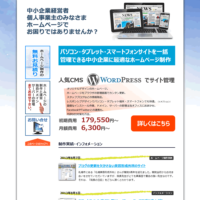パソコン表示